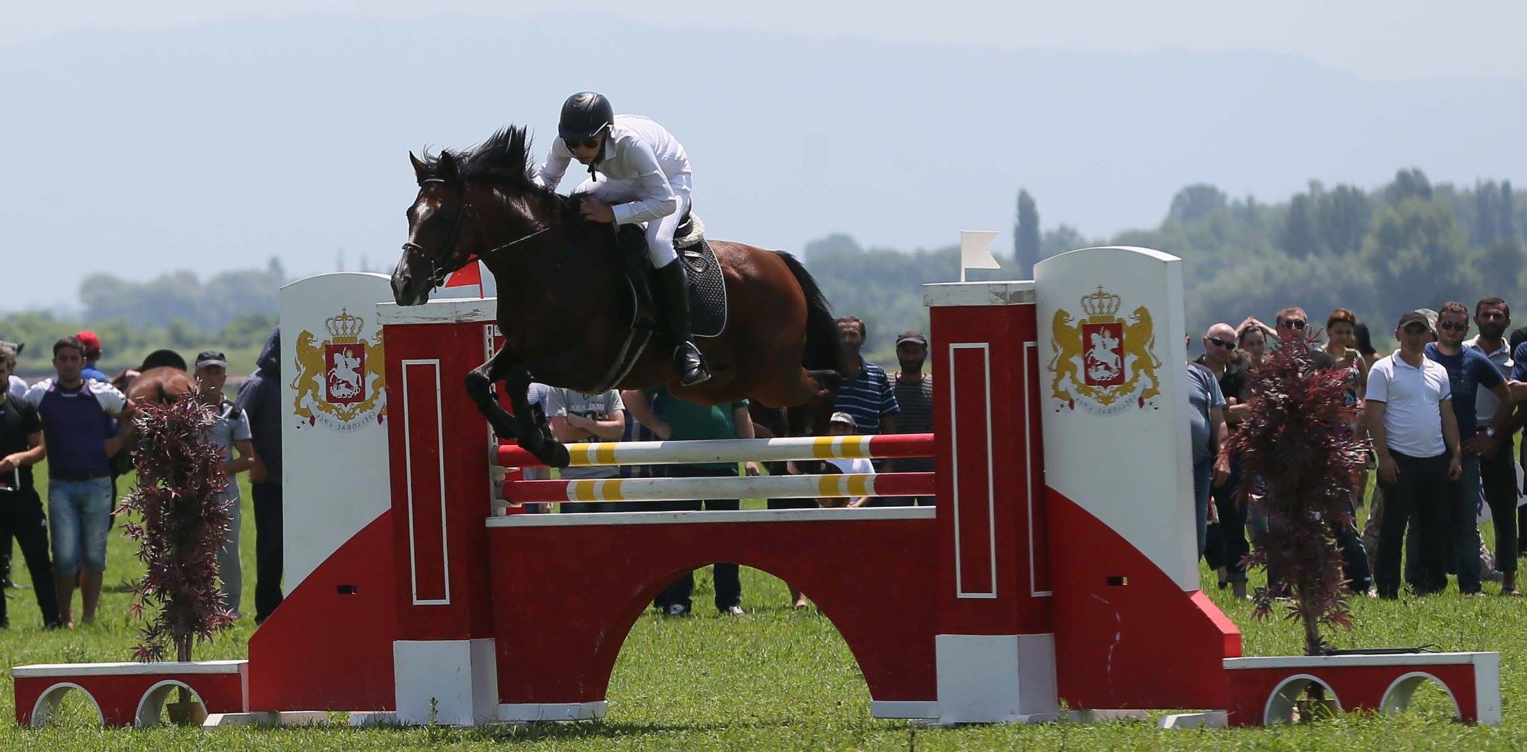 В Сенаки состоится «Марула 2016»