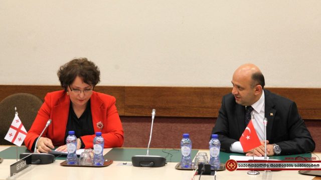 Тинатин Хидашели встретилась с министром обороны Турции