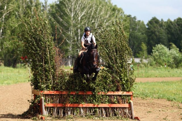 С 17 по 19 июня в Тбилиси на новом ипподроме пройдет крупный конный турнир