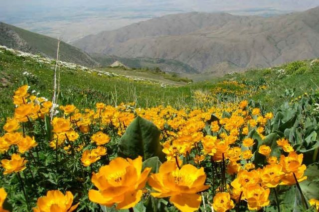 Аксу-Жабаглы в Казахстане