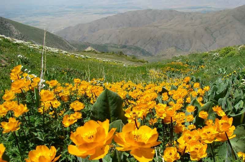 Аксу-Жабаглы в Казахстане