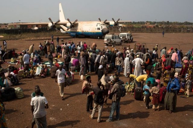 Следственная группа отправится из Грузии в Центральноафриканскую Республику