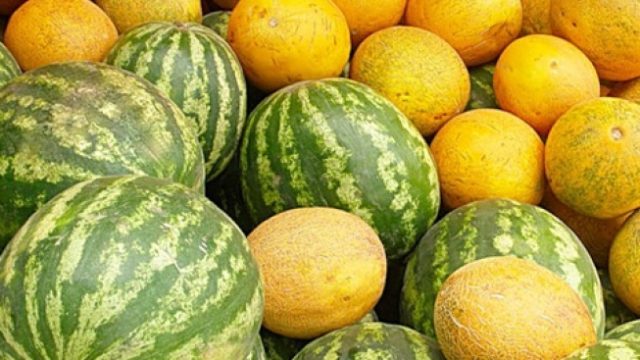 Содержание нитратов в арбузах и дынях не выше допустимой нормы