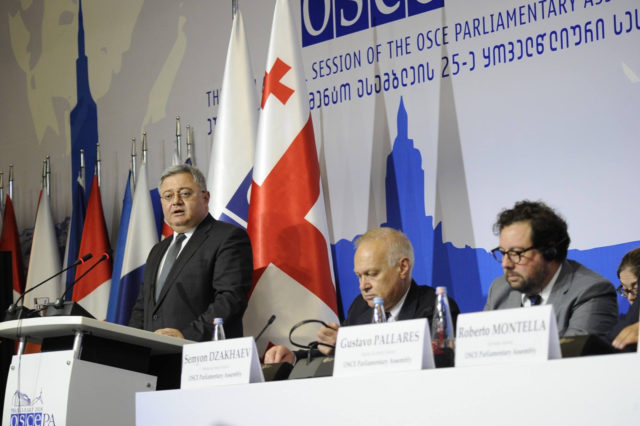 Комитет по политике и безопасности Парламентской ассамблеи ОБСЕ принял резолюцию по Грузии