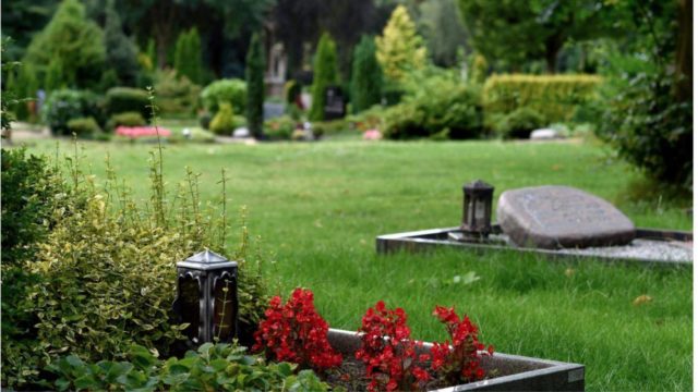 В Германии беженец-африканец изнасиловал 79-летнюю женщину на кладбище