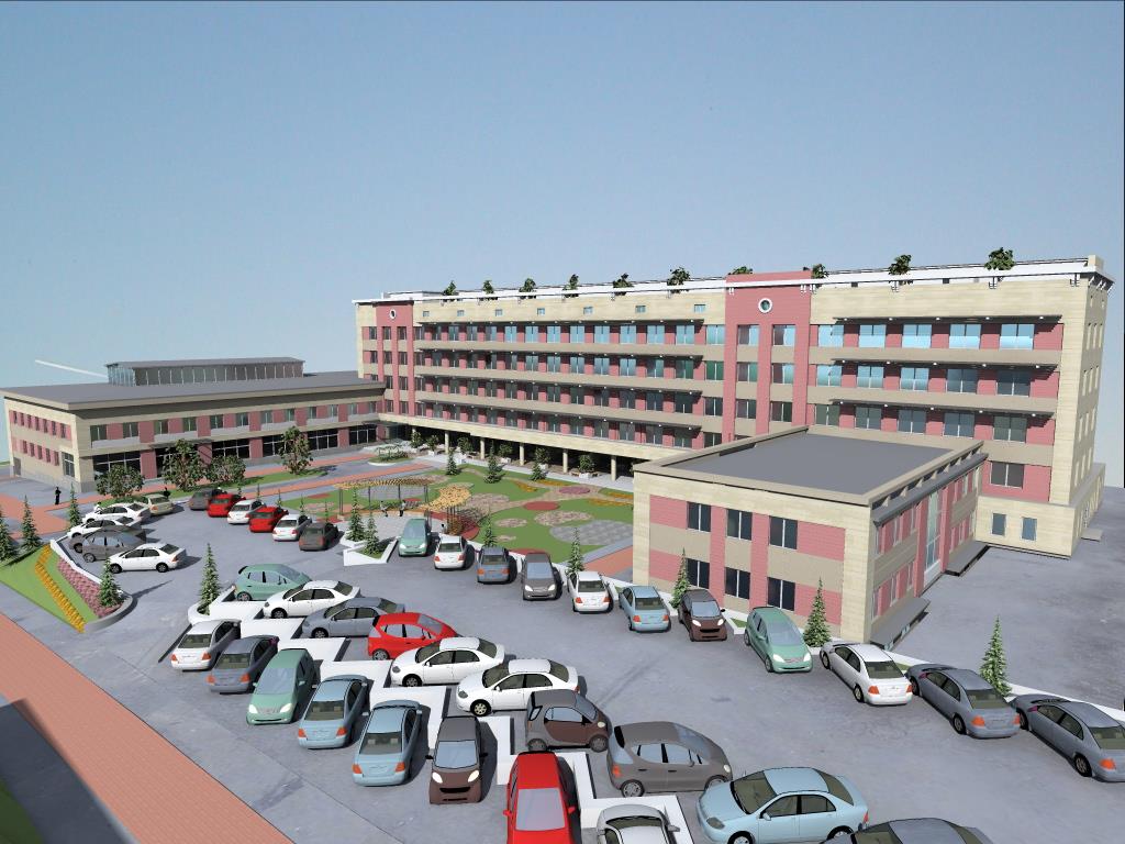 «Силикон велли Тбилиси»