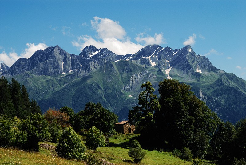 В Рача десятки семей живут под страхом химической интоксикации