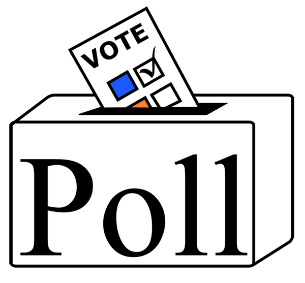 Экзит-поллы на выборах в Грузии