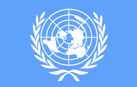 Генеральная Ассамблея ООН подтвердила «Статус беженцев из Абхазии и Цхинвальского региона Грузии»