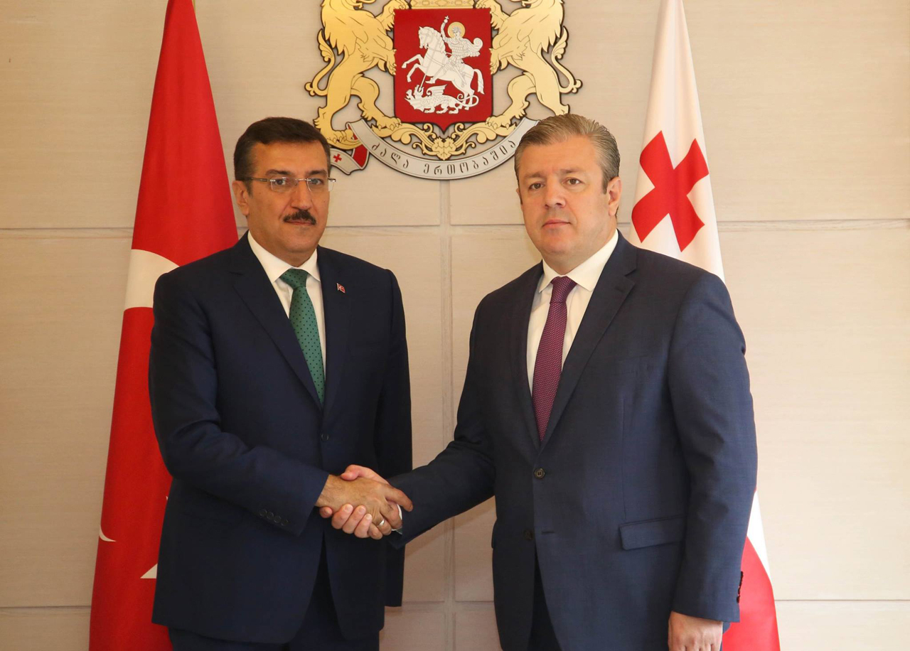 Визит министра таможенных вопросов и торговли Турции в Грузию
