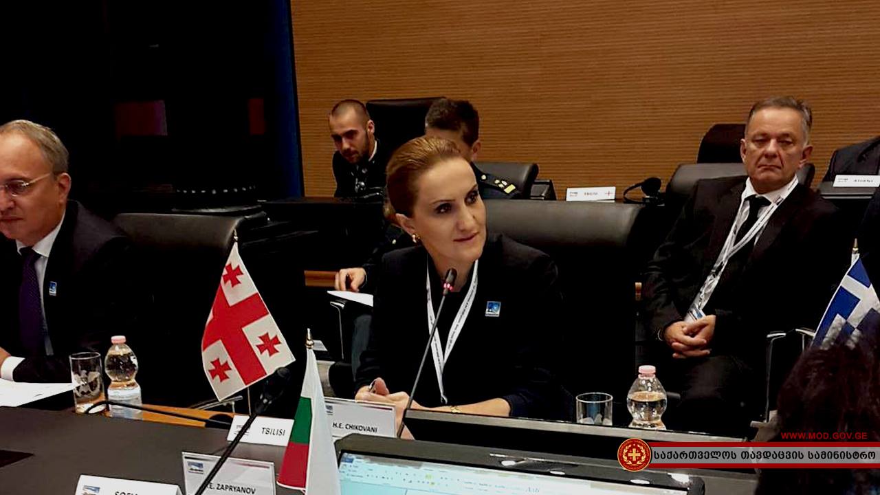 Министериал обороны стран Юго-Восточной Европы (SEDM) пройдет в столице Грузии в 2017 году