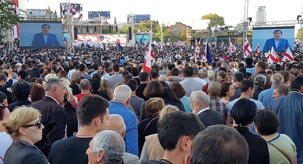 "Единое национальное движение"в Тбилиси провела итоговую предвыборную акцию