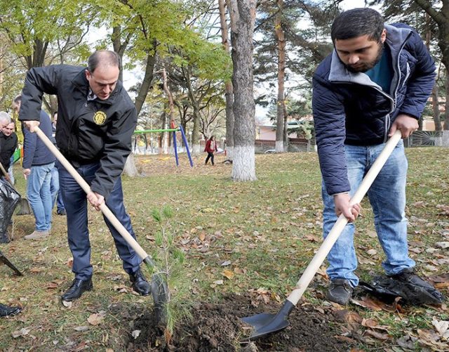 В нынешнем году в Тбилиси будет посажено 80 000 деревьев