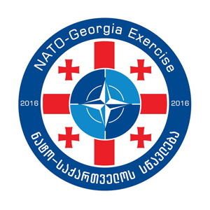 Совместные учения Грузии и НАТО