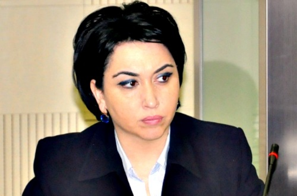 В парламенте Грузии рассмотрят законопроект об усыновлении и воспитании