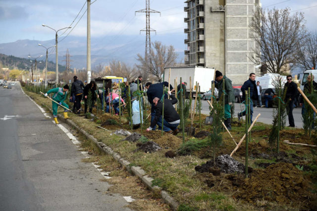 Процесс осеннего озеленения Тбилиси завершится в середине декабря