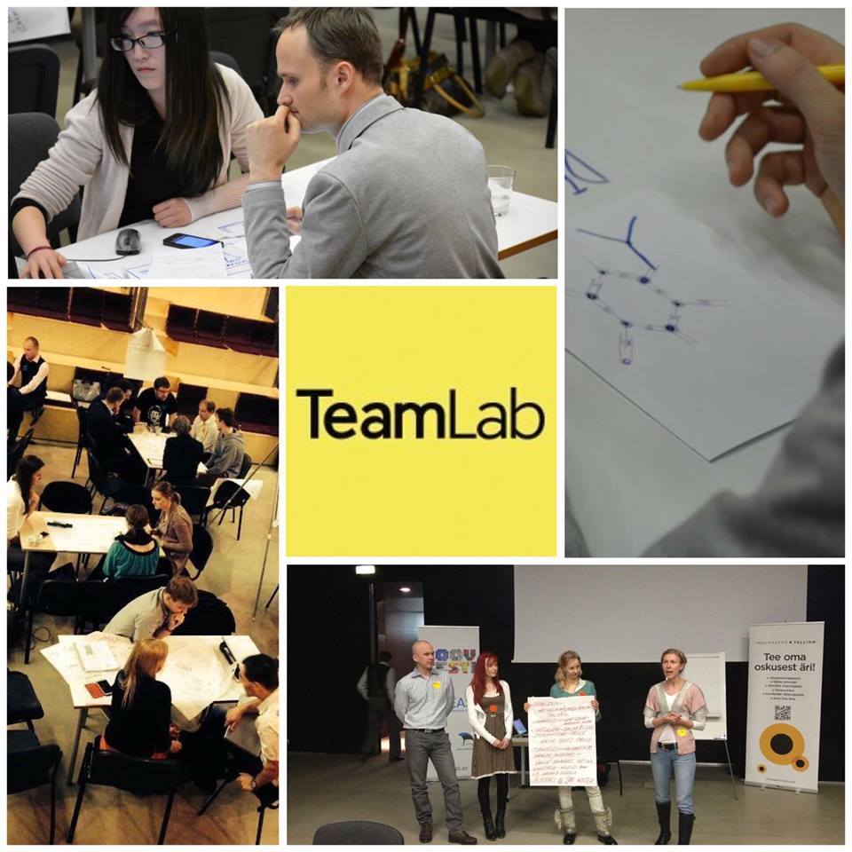 Евросоюз приглашает студентов Грузии на cеминар TeamLabGeorgia