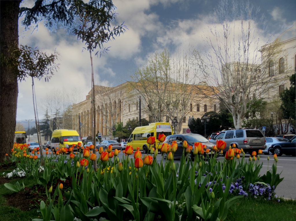 Мэрия Тбилиси в конце года занялась посадкой цветов
