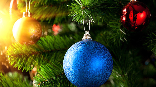 25 декабря в Тбилиси пройдет традиционный фестиваль новогодних елок и ярмарка новогодних украшений