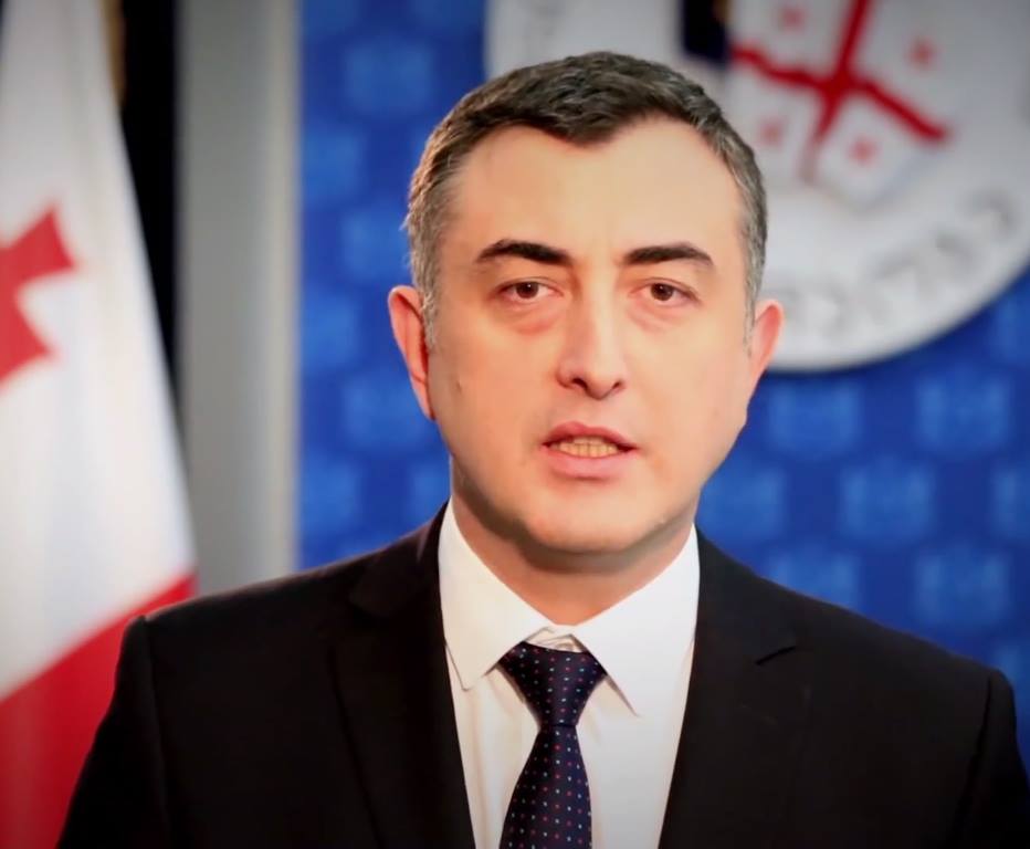 Фракция «Национальное движение» в парламенте Грузии переименована в «Европейскую Грузию»