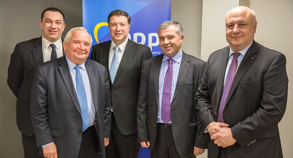 Партия "Европейская Грузия"планируют вступить в самую большую европейскую политическую партию