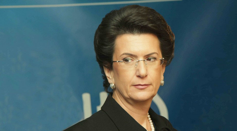 Нино Бурджанадзе считает необходимым запретить продажу земель иностранцам