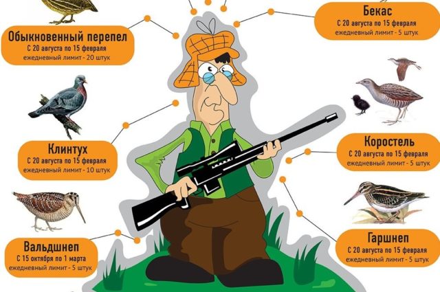 Любительская охота в Грузии
