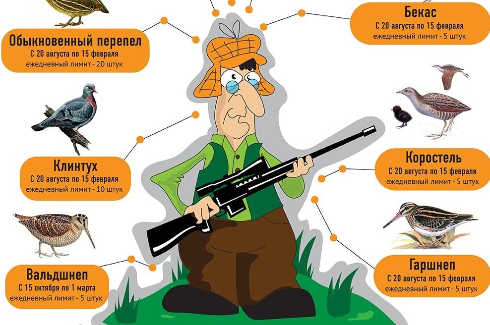 Любительская охота в Грузии