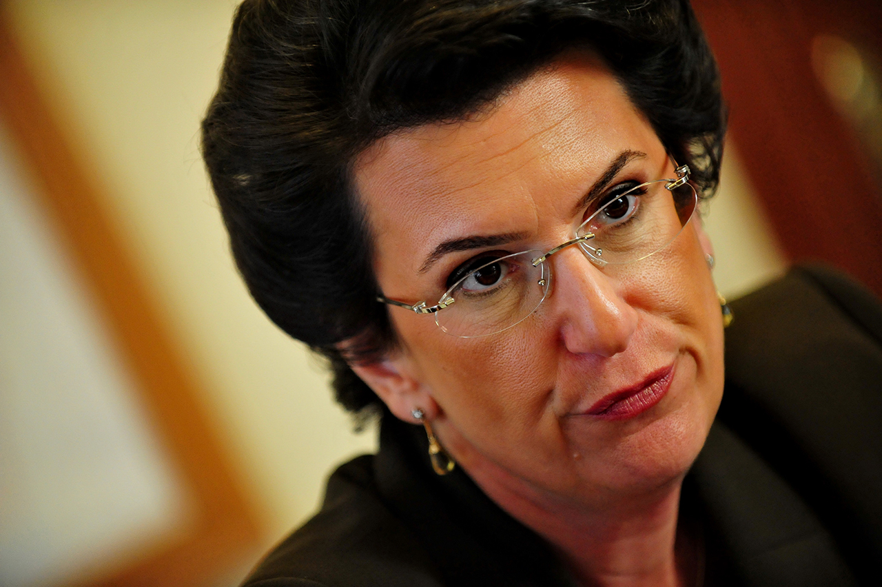 «Демократическое движение — Единая Грузия» подаст иск в суд на правящую партию «Грузинская мечта»