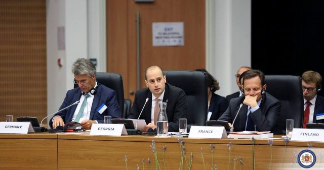 Министр иностранных дел Грузии выступил на 127-м заседании комитета министров Совета Европы