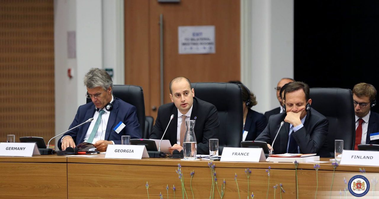 Министр иностранных дел Грузии выступил на 127-м заседании комитета министров Совета Европы