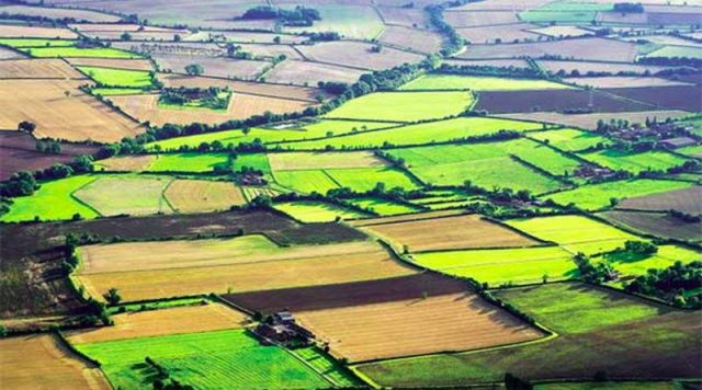 Вынужденные переселенцы в Грузии,которые занимаются сельским хозяйством освобождаются от налога на имущество