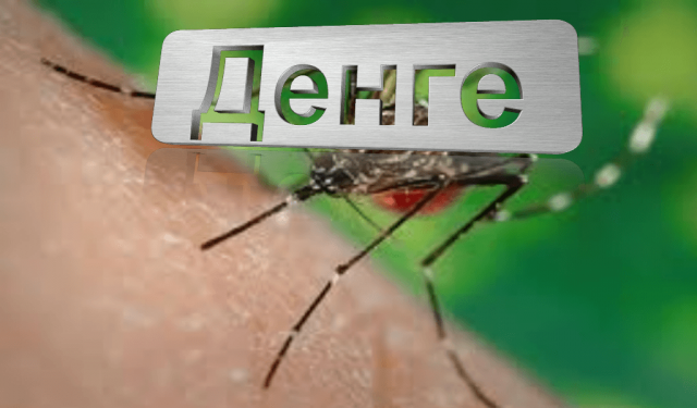 В Грузии зафиксирован тропический вирус