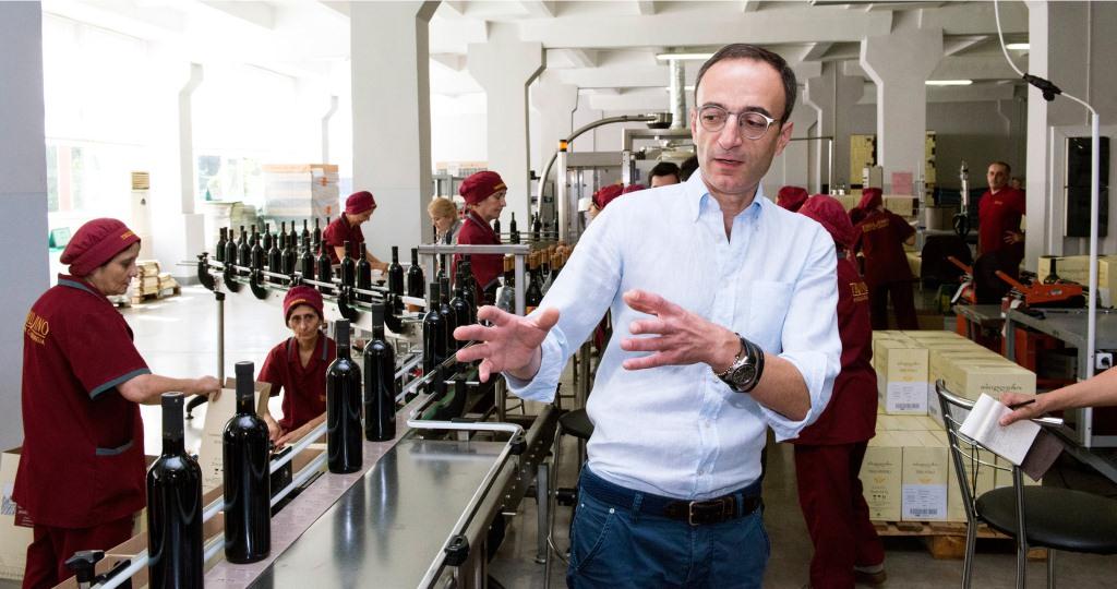 Президент компании «Тбилвино»:государство правильно поступает отменив субсидии на виноград