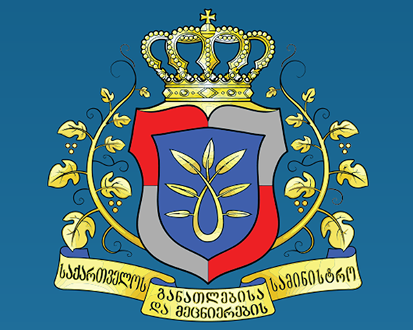 С октября в государственных школах Грузии появится новый предмет – урок труда