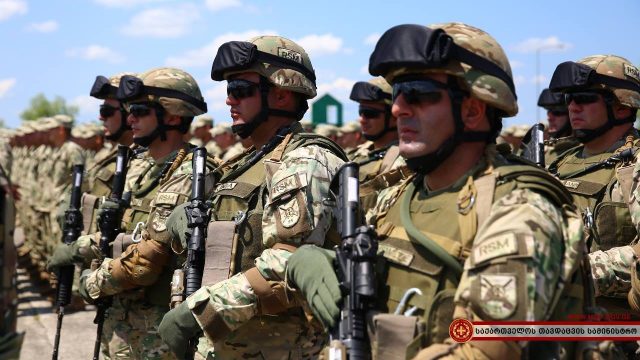 В 2026 году численность Сил обороны Грузии останется неизменной