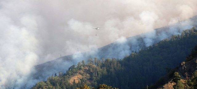 В Боржоми-Харагаульском лесу появился новый очаг возгорания