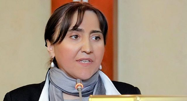 Ирма Инашвили увидела в исследованиях NDI и IRI угрозу безопасности Грузии