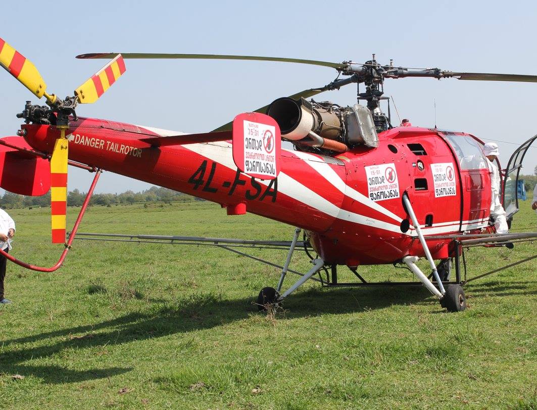 В Западной Грузии авиация подключилась к борьбе с мраморными клопами