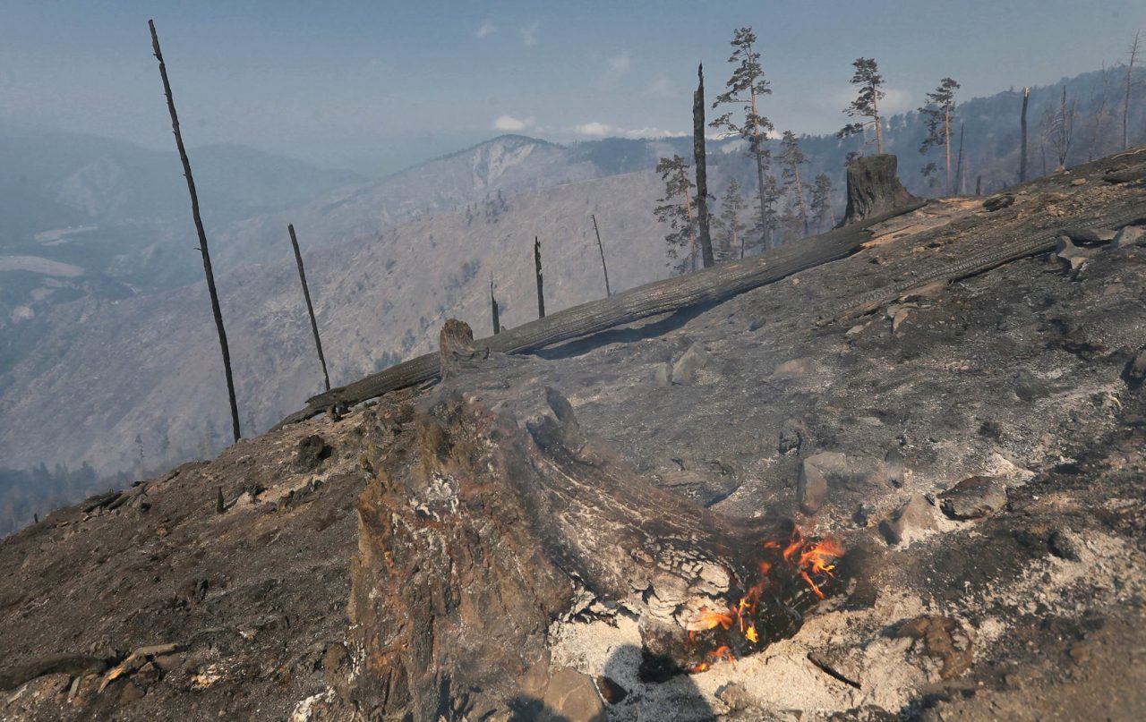 В Грузии в два с лишним раза увеличилось число пожаров