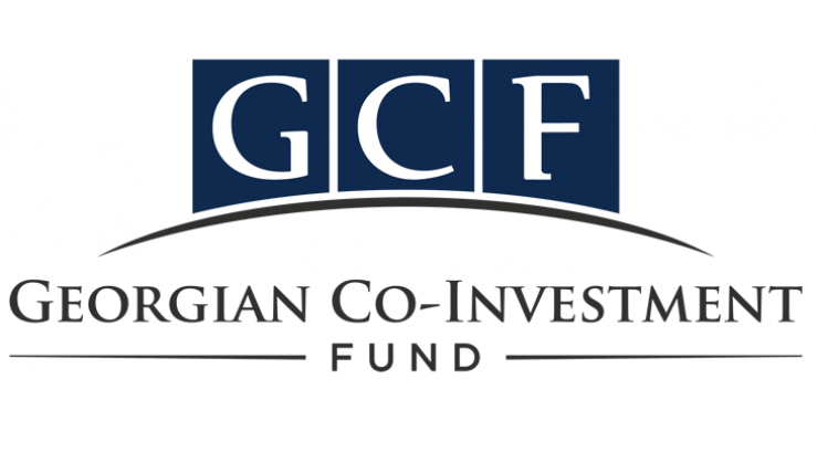 Фонд соинвестирования : Иванишвили не владеет долей в Горийском и Глданском центрах данных компании Bitfury