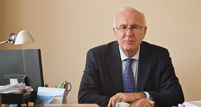 Зураб Абашидзе – Российская сторона неприемлемо интерпретирует соглашение о таможенном мониторинге