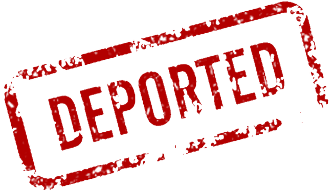 С 1 января 2018 года 5,6 тысяч граждан Грузии были выдворены из разных стран