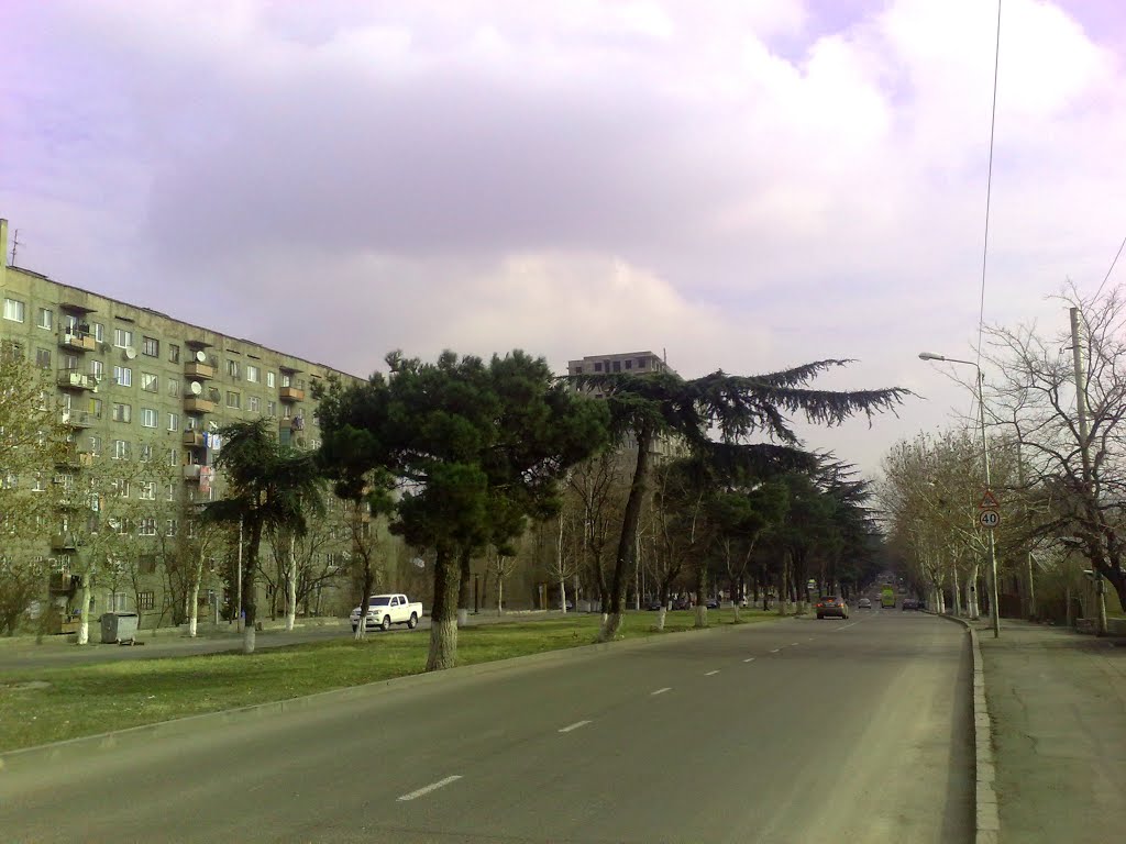 В Тбилиси Московский проспект могут переименовать именем погибшего в Цхинвали Арчила Татунашвили