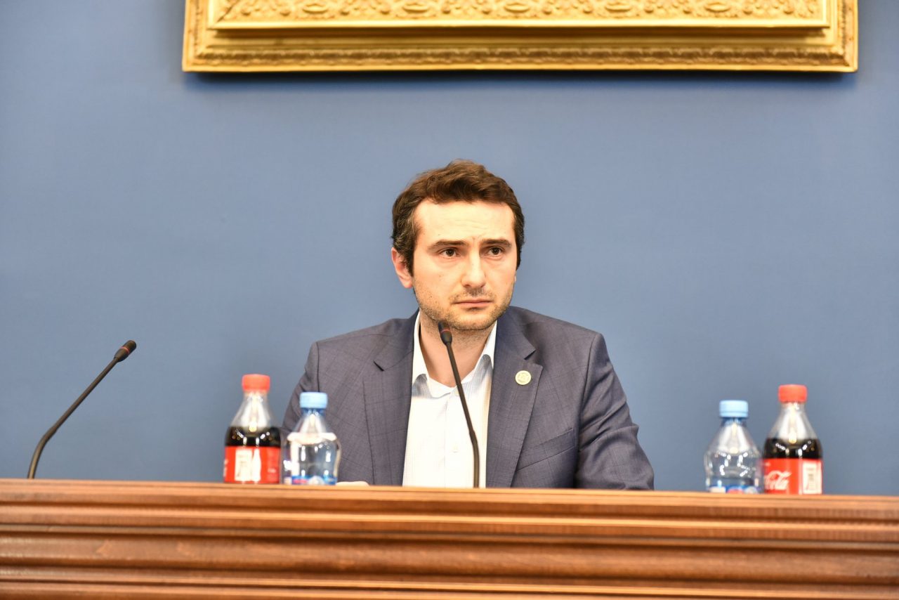 Новая инициатива парламентского комитета охраны окружающей среды и природных ресурсов Грузии