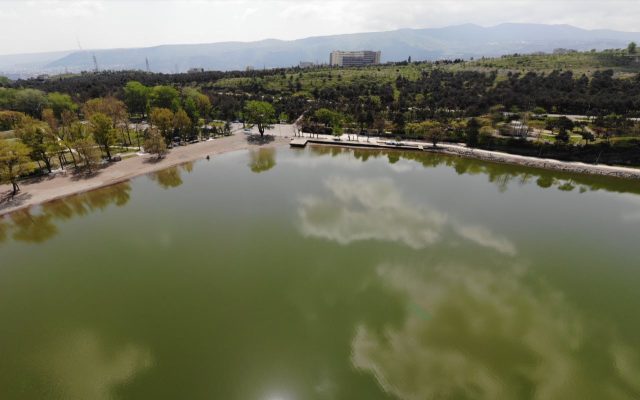 Водоемы Тбилиси