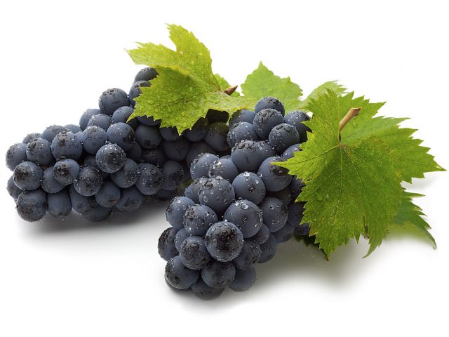 Без справки из кадастра виноградори в Кахети не смогут сдать урожай