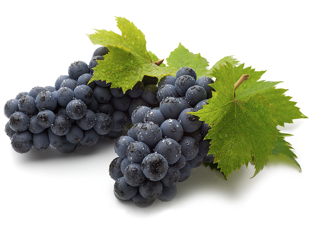 Без справки из кадастра виноградори в Кахети не смогут сдать урожай