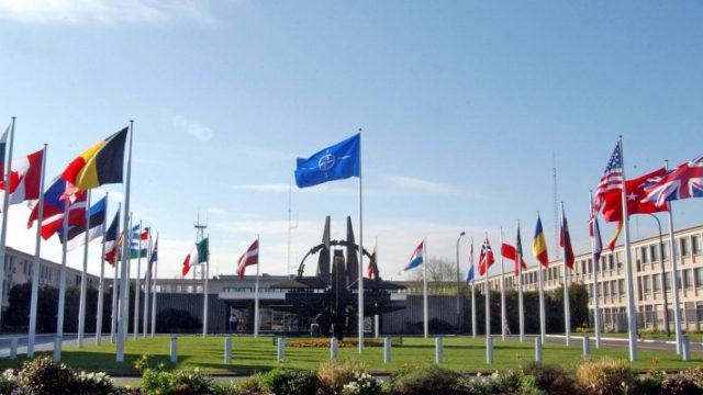 США выступают за включение Грузии в состав НАТО