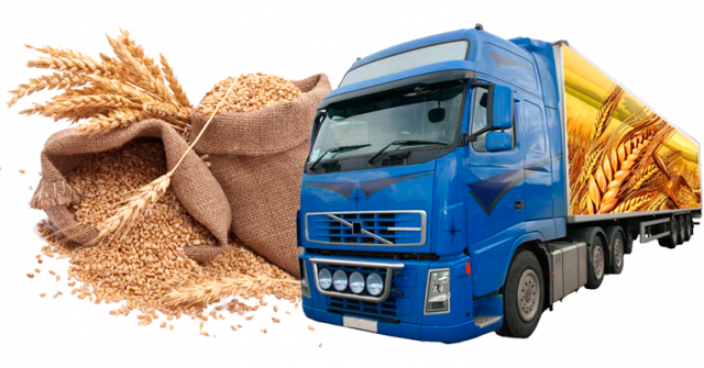 В Грузии запретили ввоз и вывоз пшеницы на автотранспорте